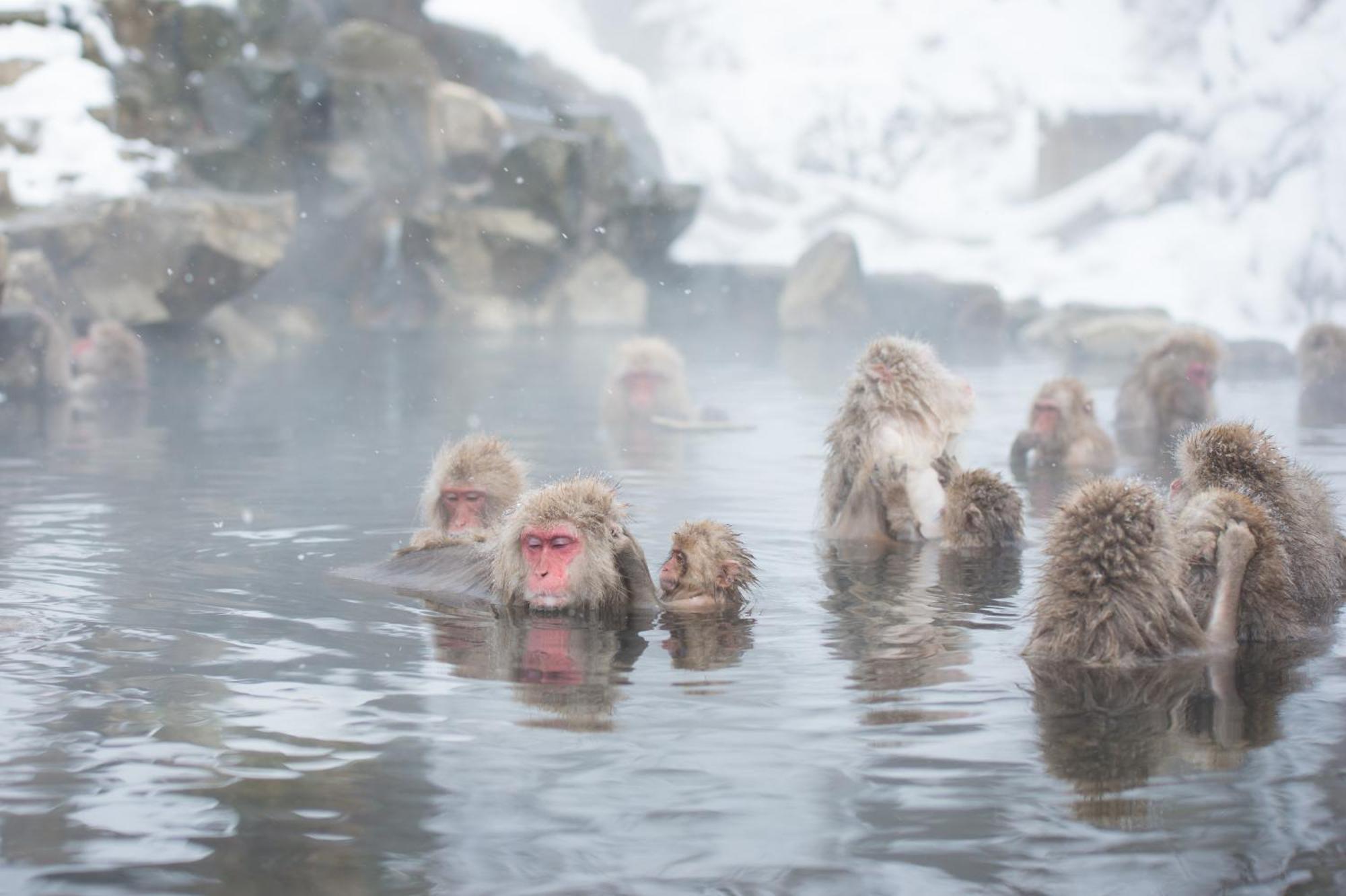 Hokuryuko Hotel North Nagano Nozawaonsen Zewnętrze zdjęcie